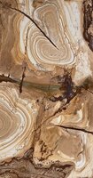 Wooden Stone Wooden Stone