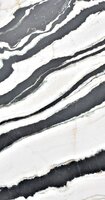 Zebra White Zebra White