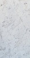 Andromeda White Andromeda White