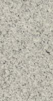 Imperial White Imperial White