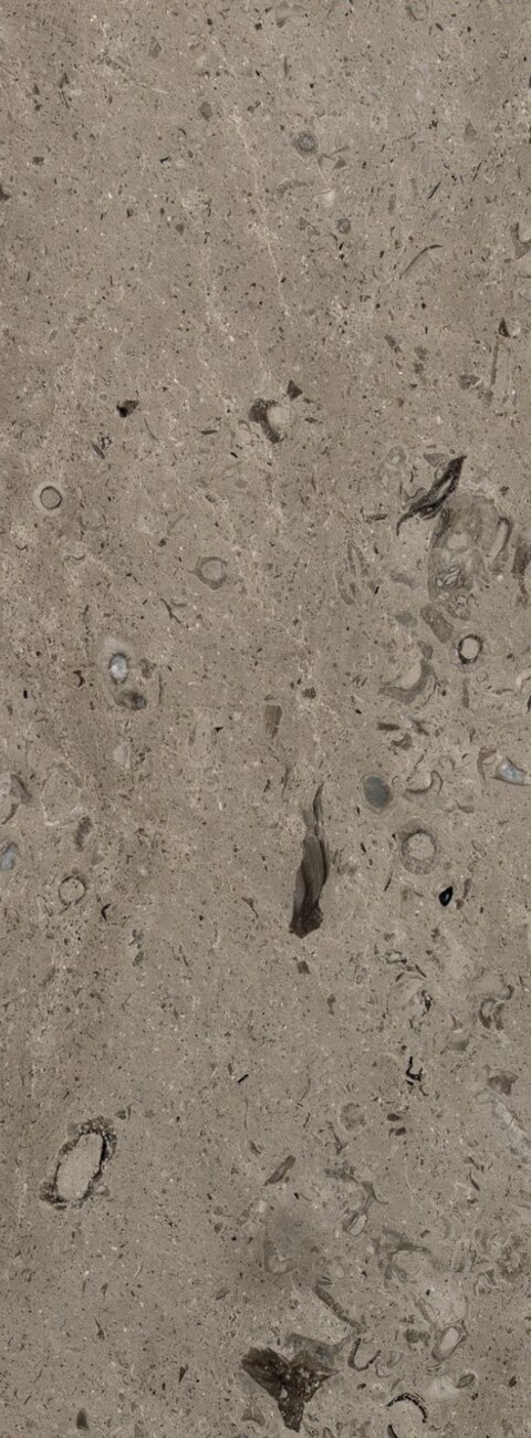 Lipica Fiorito Lipica Fiorito