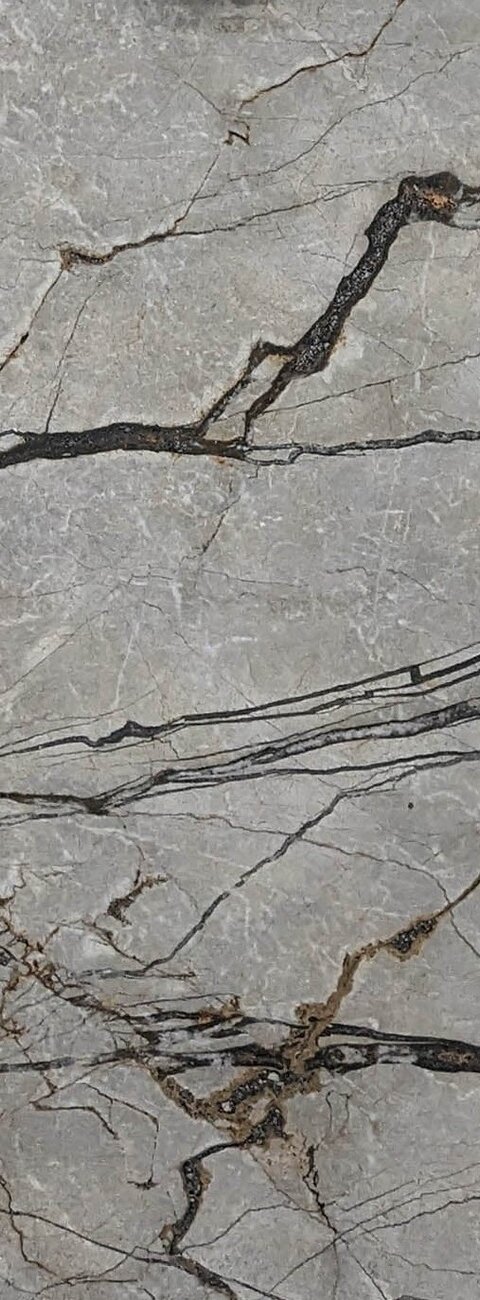 Silver Roots Silver Roots