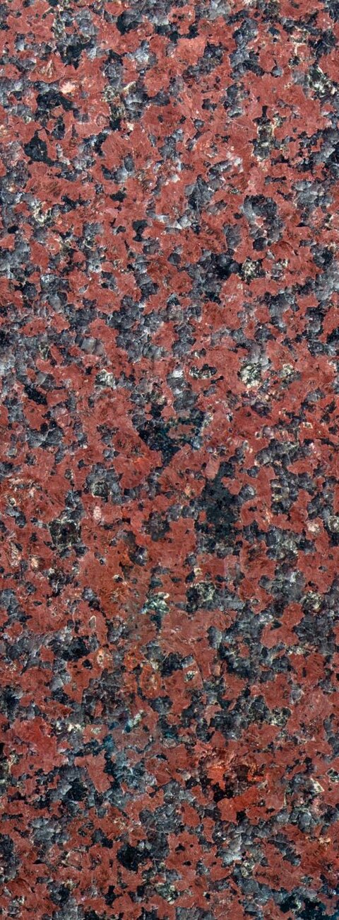African Red African Red
