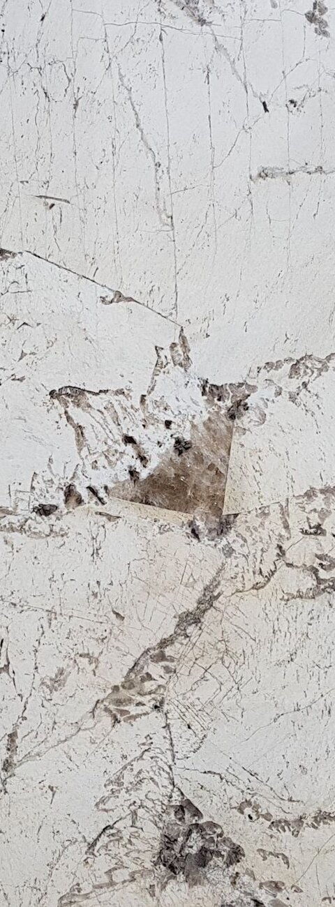 Alpinus Alpinus