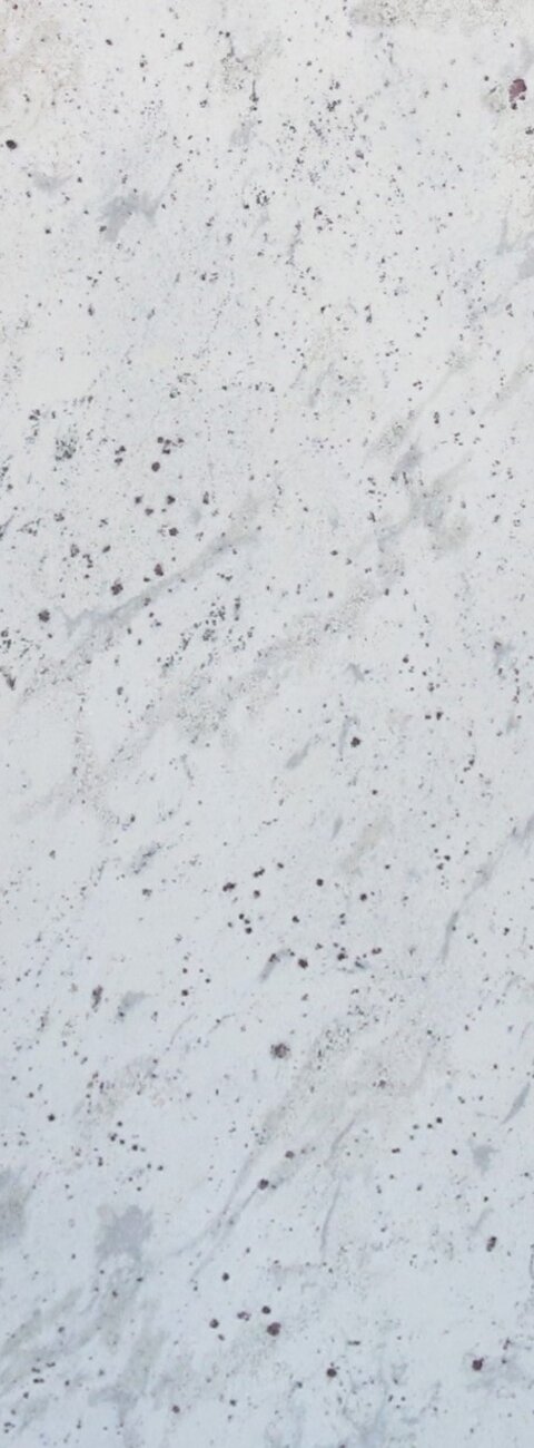 Andromeda White Andromeda White