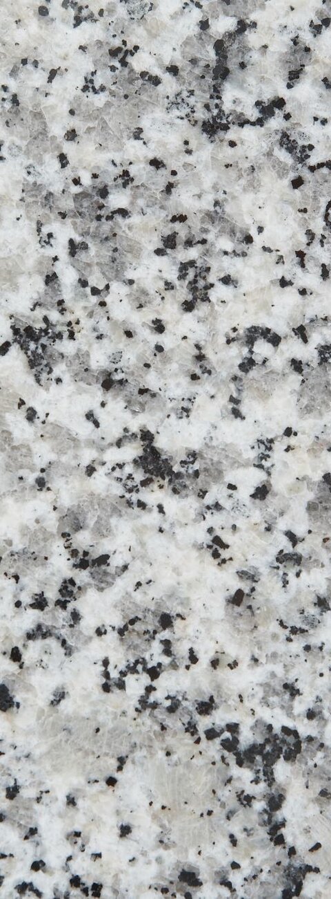 Bianco Sardo Bianco Sardo