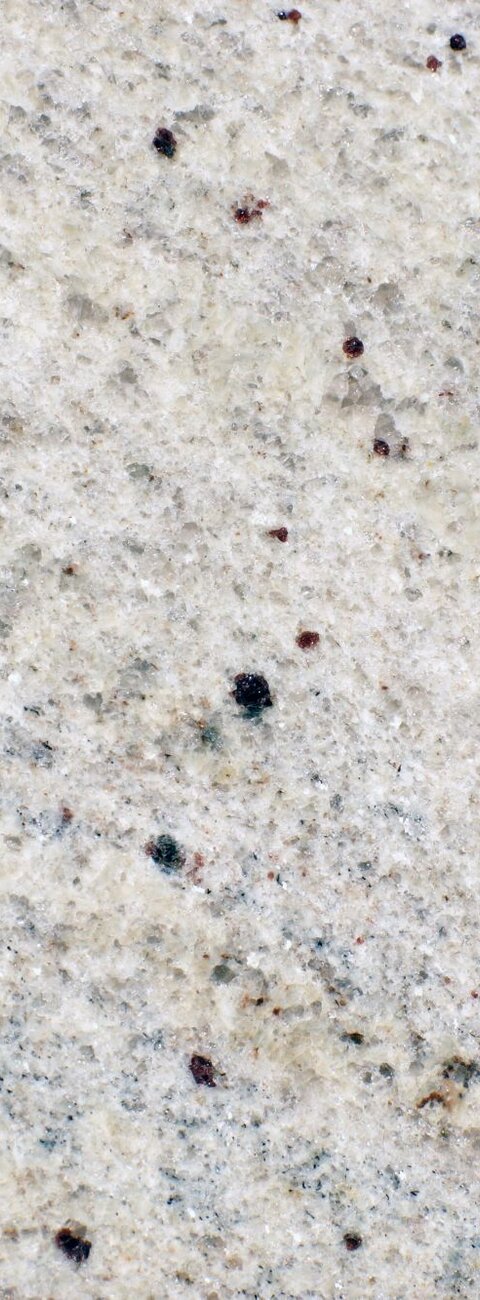 Kashmir White Kashmir White
