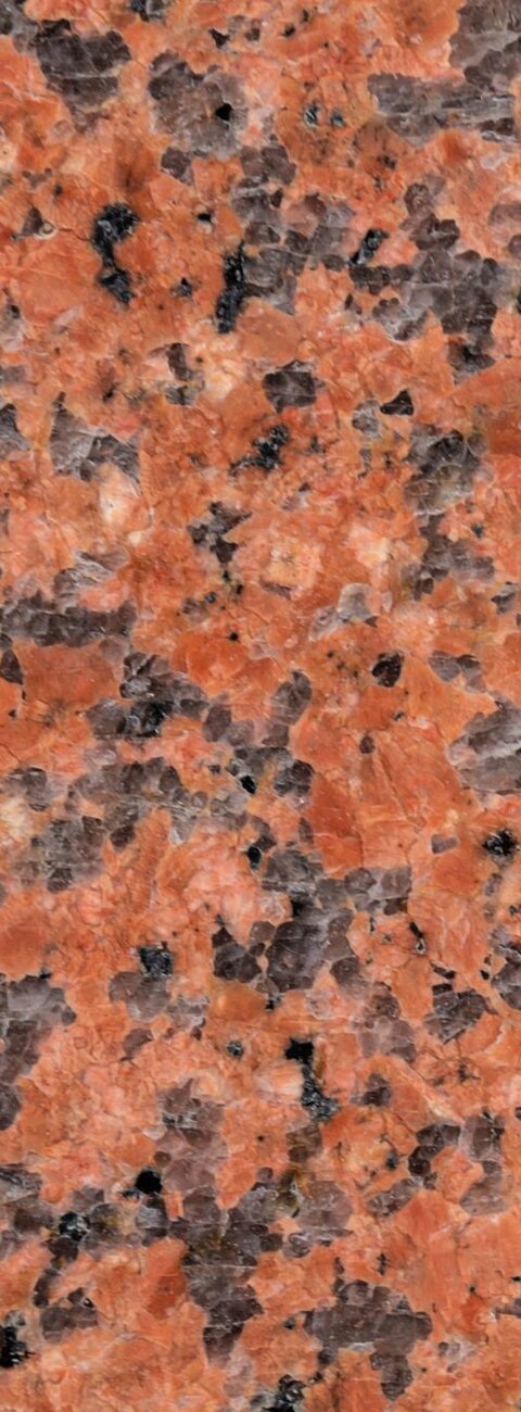 Maple Red Maple Red
